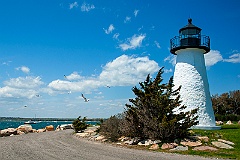 Seagulls Flying From Ned's Point Light Tower in Park